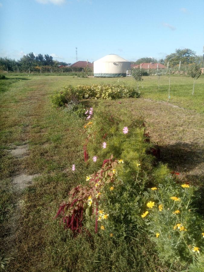 Hotel Jurtafarm Rackeve - A Nomad Luxus Zewnętrze zdjęcie